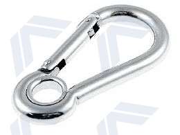 Snap hook with special closure and eyelet